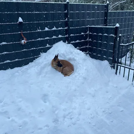 Domiziel Fuer 1 Bis 4 Personen Im Gruenen Apartamento *