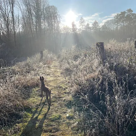 Domiziel Fuer 1 Bis 4 Personen Im Gruenen * Hamm (Sieg)