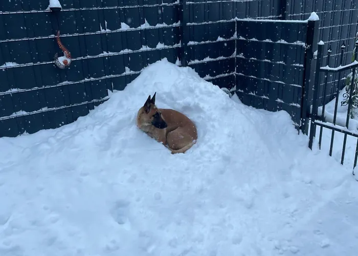 Domiziel Fuer 1 Bis 4 Personen Im Gruenen Apartamento *