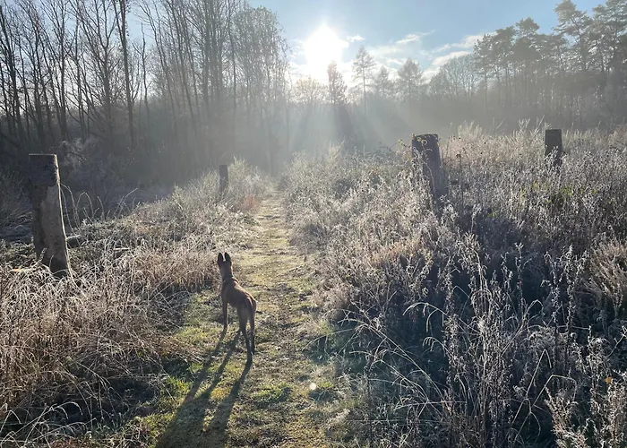 Domiziel Fuer 1 Bis 4 Personen Im Gruenen * Hamm (Sieg)